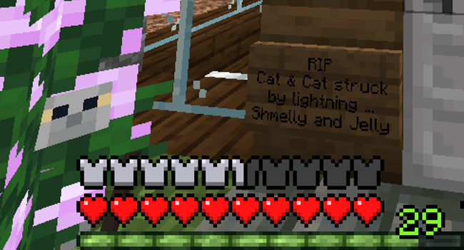 RIP sign and my silly cat